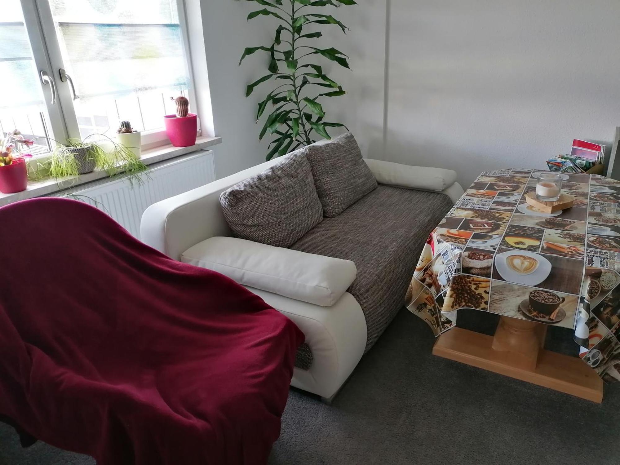 Little Joe Apartment